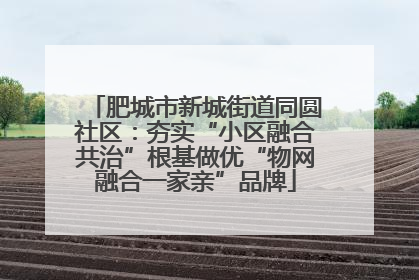 肥城市新城街道同圆社区：夯实“小区融合共治”根基做优“物网融合一家亲”品牌