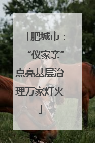 肥城市：“仪家亲”点亮基层治理万家灯火