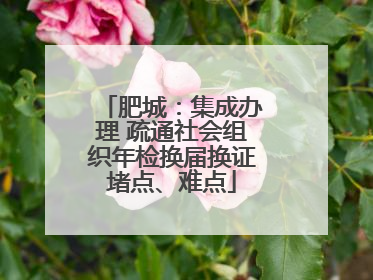 肥城：集成办理 疏通社会组织年检换届换证堵点、难点