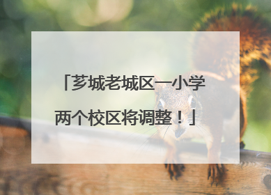芗城老城区一小学两个校区将调整！