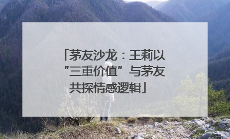 茅友沙龙：王莉以“三重价值”与茅友共探情感逻辑