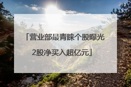 营业部最青睐个股曝光 2股净买入超亿元