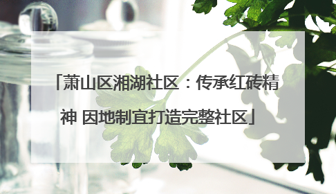 萧山区湘湖社区：传承红砖精神 因地制宜打造完整社区