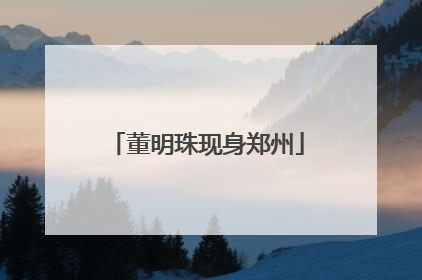 董明珠现身郑州