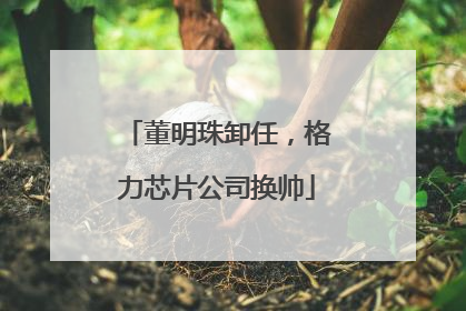 董明珠卸任，格力芯片公司换帅