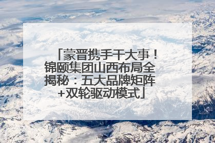 蒙晋携手干大事！锦颐集团山西布局全揭秘：五大品牌矩阵+双轮驱动模式