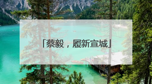 蔡毅，履新宣城