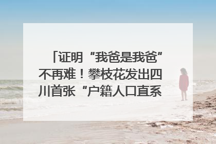 证明“我爸是我爸”不再难！攀枝花发出四川首张“户籍人口直系亲属关系谱”