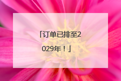 订单已排至2029年！