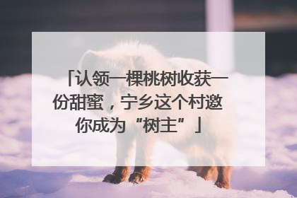 认领一棵桃树收获一份甜蜜，宁乡这个村邀你成为“树主”
