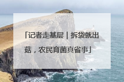 记者走基层｜拆袋就出菇，农民育菌真省事