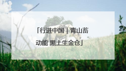 行进中国｜青山蓄动能 黑土生金仓