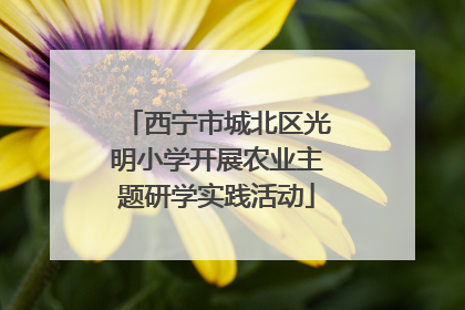 西宁市城北区光明小学开展农业主题研学实践活动