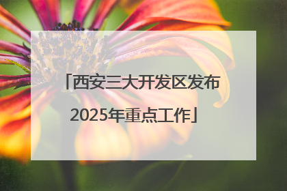西安三大开发区发布2025年重点工作