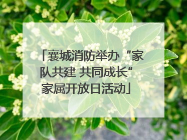襄城消防举办“家队共建 共同成长”家属开放日活动