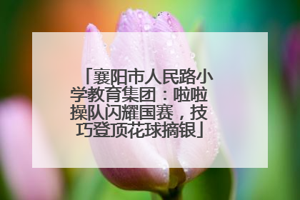 襄阳市人民路小学教育集团：啦啦操队闪耀国赛，技巧登顶花球摘银