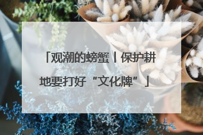 观潮的螃蟹丨保护耕地要打好“文化牌”