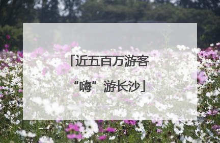 近五百万游客“嗨”游长沙