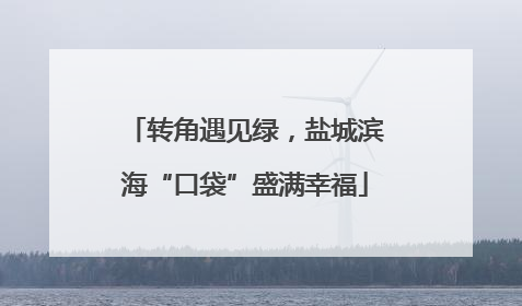 转角遇见绿，盐城滨海“口袋”盛满幸福