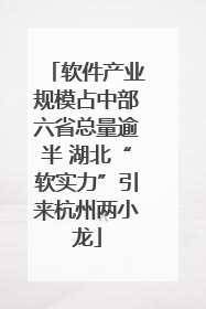 软件产业规模占中部六省总量逾半 湖北“软实力”引来杭州两小龙