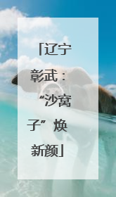 辽宁彰武：“沙窝子”焕新颜