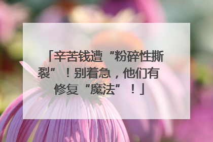 辛苦钱遭“粉碎性撕裂”！别着急，他们有修复“魔法”！