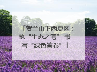 贺兰山下西夏区：执“生态之笔” 书写“绿色答卷”