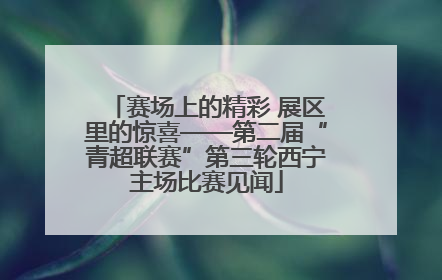赛场上的精彩 展区里的惊喜——第二届“青超联赛”第三轮西宁主场比赛见闻
