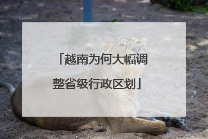 越南为何大幅调整省级行政区划