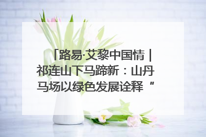 路易·艾黎中国情｜祁连山下马蹄新：山丹马场以绿色发展诠释“两山”理论实践