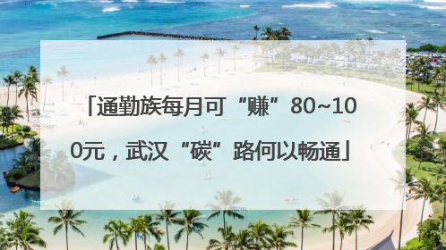 通勤族每月可“赚”80~100元，武汉“碳”路何以畅通