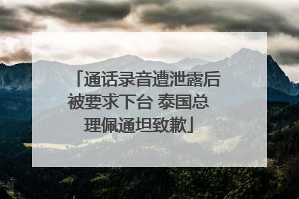 通话录音遭泄露后被要求下台 泰国总理佩通坦致歉