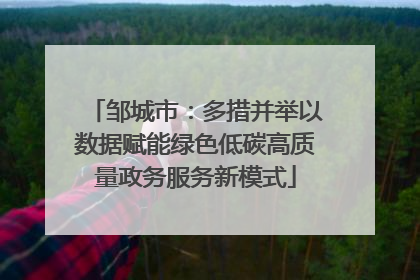邹城市：多措并举以数据赋能绿色低碳高质量政务服务新模式