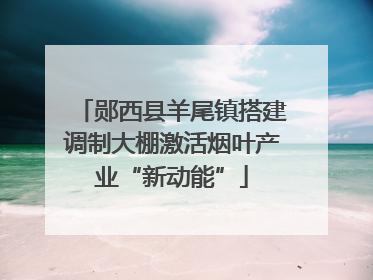 郧西县羊尾镇搭建调制大棚激活烟叶产业“新动能”