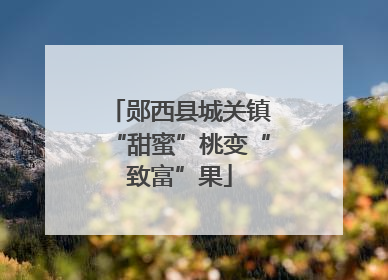 郧西县城关镇“甜蜜”桃变“致富”果