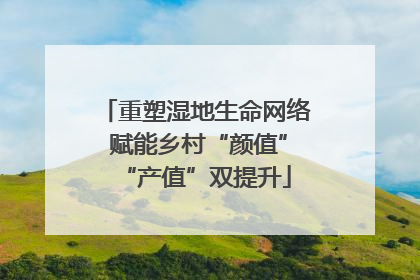 重塑湿地生命网络 赋能乡村“颜值”“产值”双提升