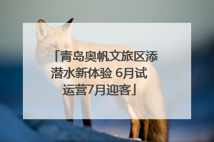 青岛奥帆文旅区添潜水新体验 6月试运营7月迎客
