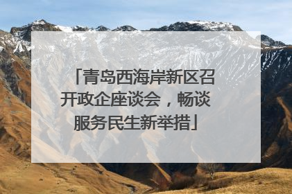 青岛西海岸新区召开政企座谈会，畅谈服务民生新举措