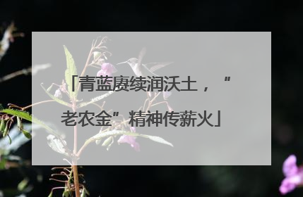 青蓝赓续润沃土，“老农金”精神传薪火