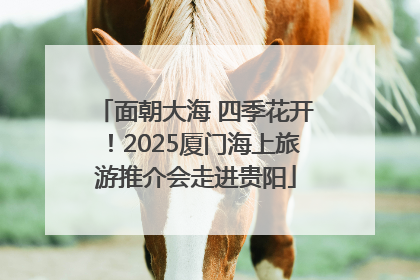 面朝大海 四季花开！2025厦门海上旅游推介会走进贵阳