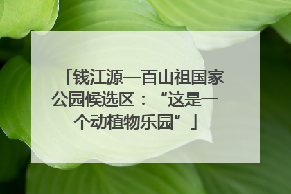 钱江源—百山祖国家公园候选区：“这是一个动植物乐园”