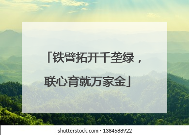 铁臂拓开千垄绿，联心育就万家金