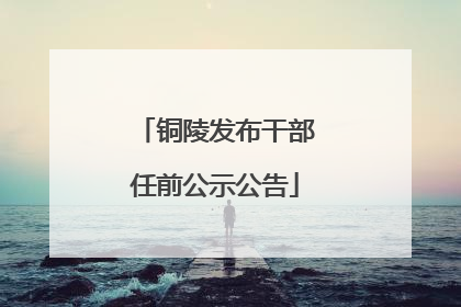 铜陵发布干部任前公示公告
