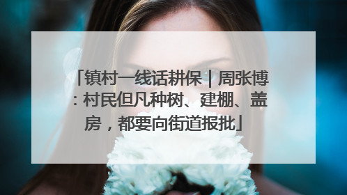 镇村一线话耕保｜周张博：村民但凡种树、建棚、盖房，都要向街道报批