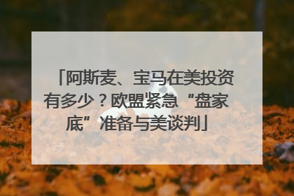 阿斯麦、宝马在美投资有多少？欧盟紧急“盘家底”准备与美谈判
