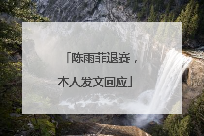 陈雨菲退赛，本人发文回应