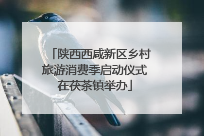 陕西西咸新区乡村旅游消费季启动仪式在茯茶镇举办
