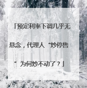 预定利率下调几乎无悬念，代理人“炒停售”为何炒不动了？