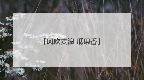 风吹麦浪 瓜果香