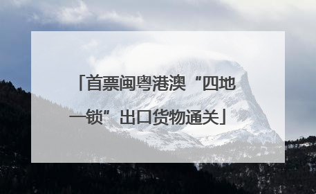 首票闽粤港澳“四地一锁”出口货物通关